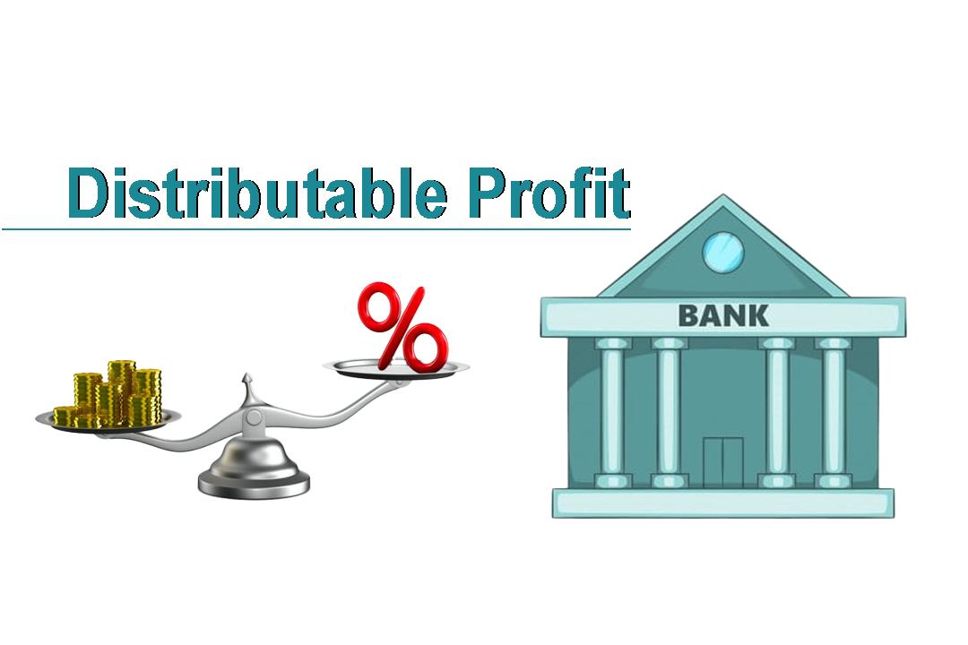 Distributable Profit: Key Indicator and Legal Basis for Dividend Distribution